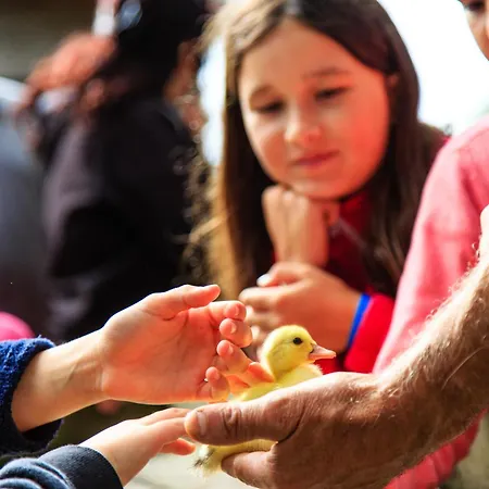 Mobil Xxl 4 - Camping Le Domaine De Brehadour Κάμπινγκ